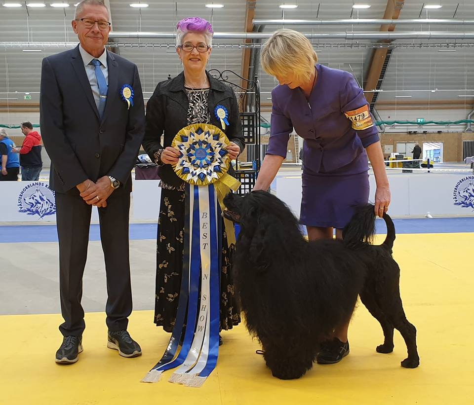 BIS 2 svensk vinner 2019